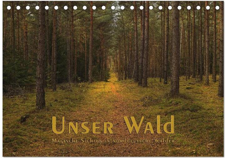 Produktbild Unser Wald - Magische Sichten in norddeutsche Wälder (Tischkalender 2024 DIN A5 quer), Mona (A5, Deutsch)