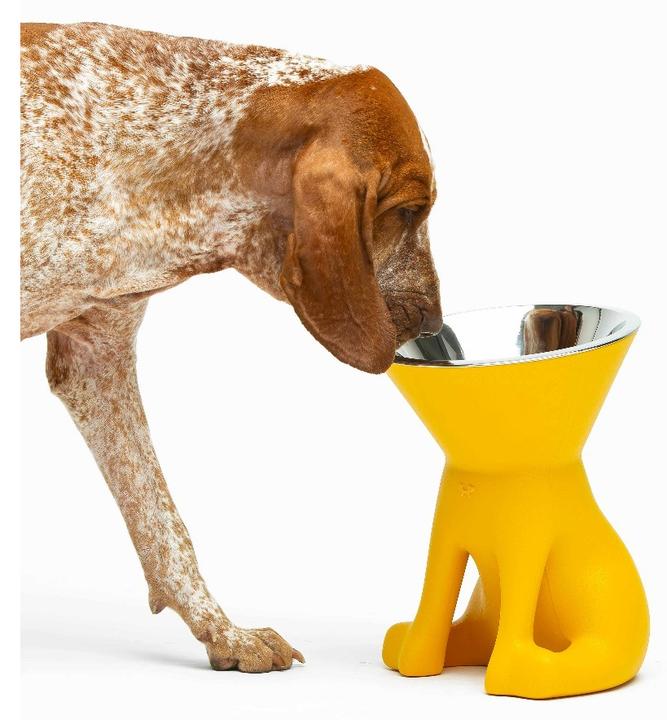 Image du produit United Pets Elizabeth (110 cl)