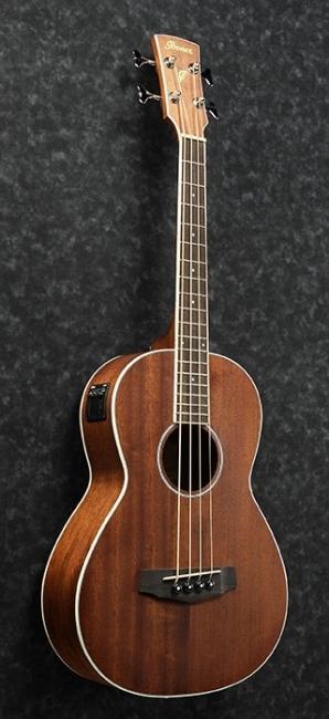 Actual product image Ibanez PNB14E Open Pore Natural electrical-acoustic bas (Electric guitar)