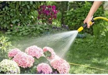 Actual product image Kärcher Syringe