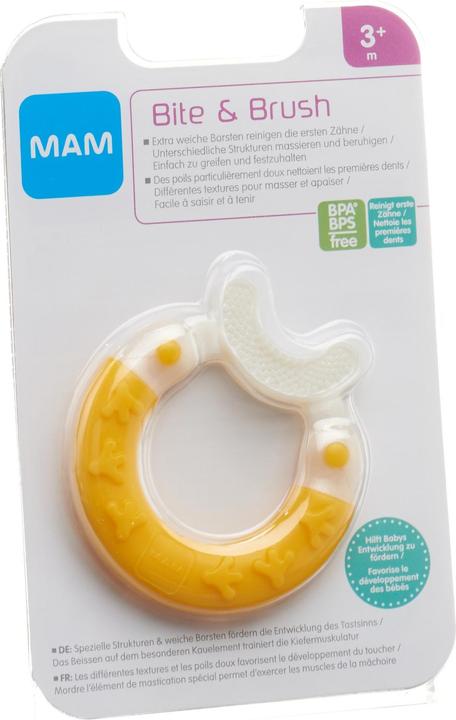 Actual product image MAM Bite & Brush assorted