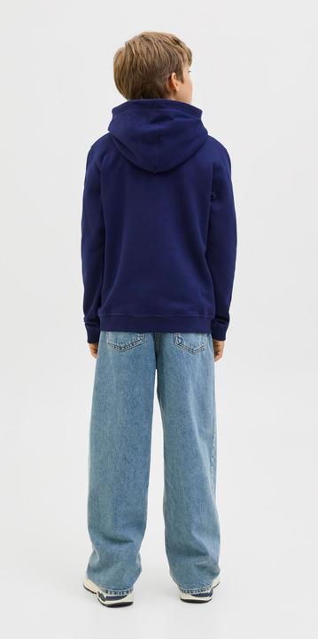 Actual product image Jack & Jones Jornorrebro Emb Sweat Hood Noos Jnr (128)