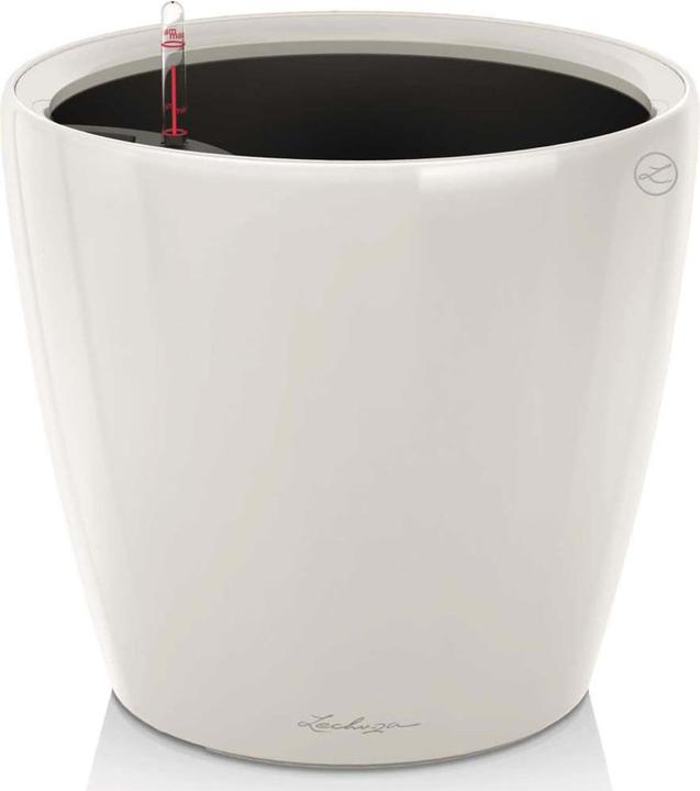 Lechuza Classico (36 cm)