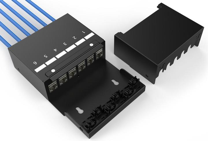 Actual product image Digitus Consolidation point box, 6-port Keystone modules with intelligent cable manager