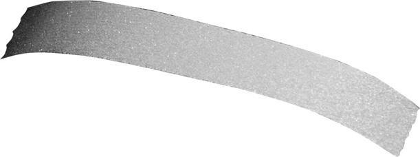 Actual product image HP Professional Notebook Backpack