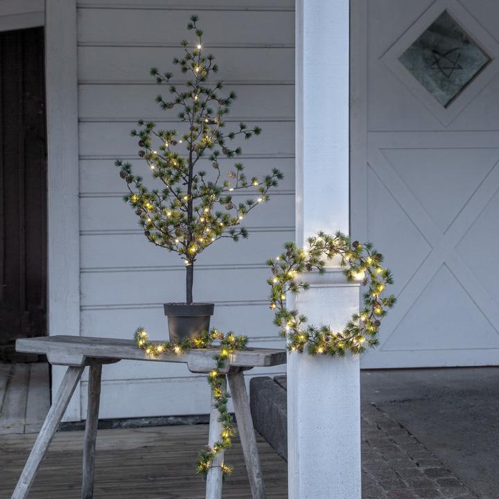 Produktbild Star Trading Larix