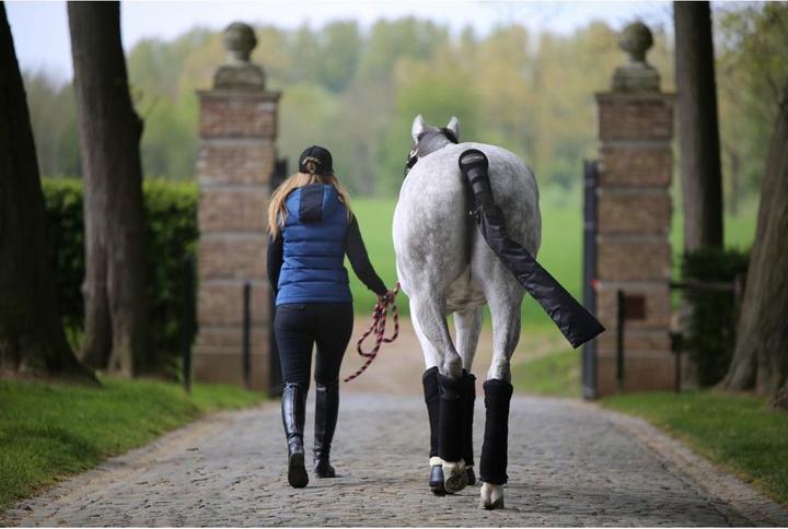 Actual product image Kentucky Horsewear Tail protector tail bag