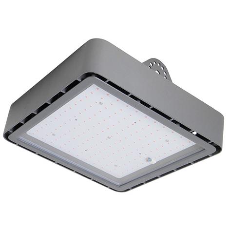Scharnberger+Hasenbein SCHARNBERGER 31767 (LED) (31767)