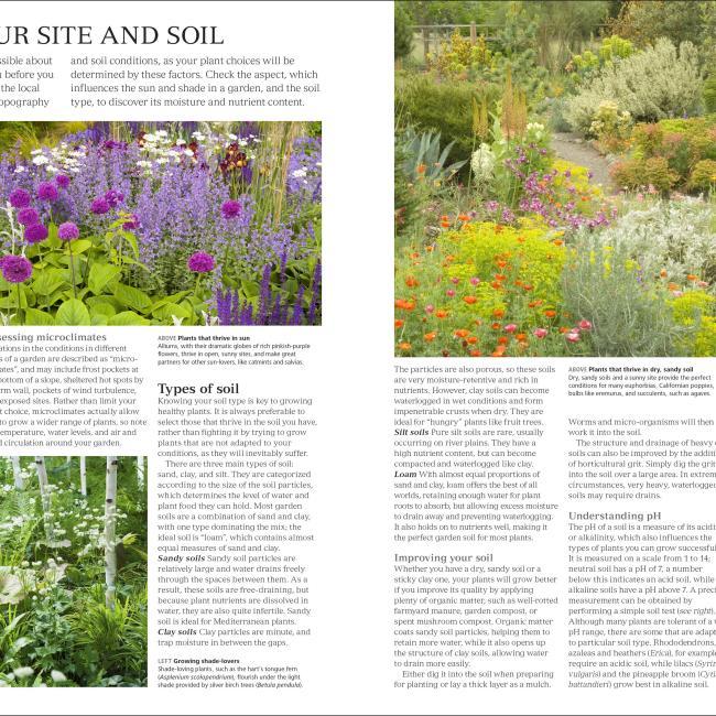 Immagine prodotto RHS Encyclopedia Of Plants And Flowers (Inglese, Christopher Brickell, 2019)