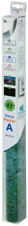 Image du produit SuperFish SF DECO POSTER A5 120X61 CM (Décoration)