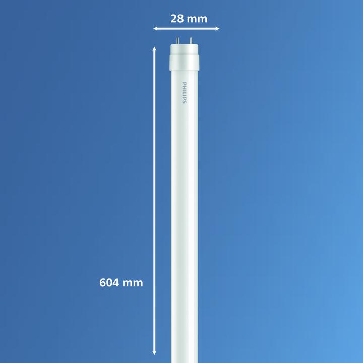 Image du produit Philips blanc (G13, 8 W, 800 lm, 1 x, F)