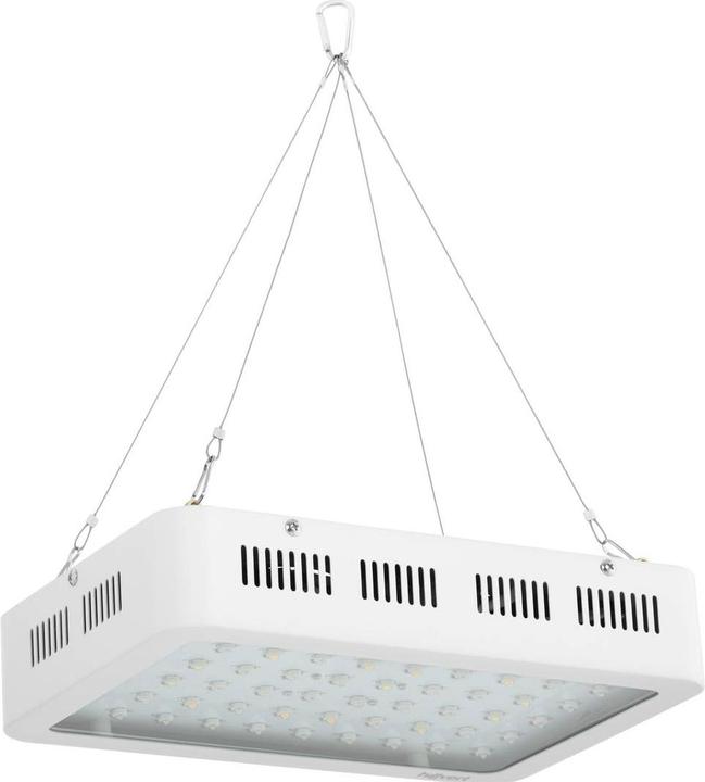 Actual product image Hillvert LED Grow Light- 600 W - 3,000 lumens (LED, 265 V)