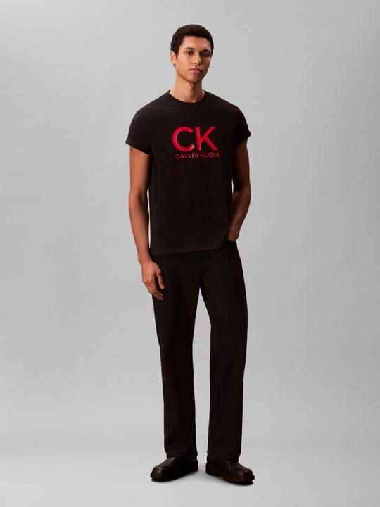 Actual product image Calvin Klein Graphic Tee (L)
