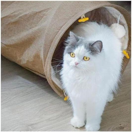 Actual product image CanadianCat Cat tunnel with cuddly fur beige XXL (35 cm, Beige)