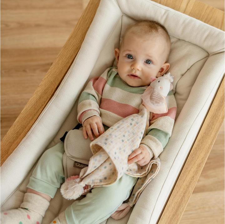 Actual product image Fehn Muslin cuddle cloth bird