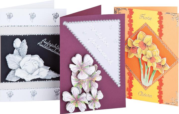 Immagine prodotto Folia Carte doppie (5 pz.)