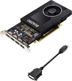 Produktbild PNY Quadro P2000 (5 GB)