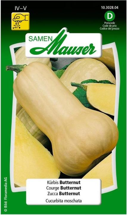 Produktbild Samen Mauser Kürbis Butternut (Gemüsesamen)
