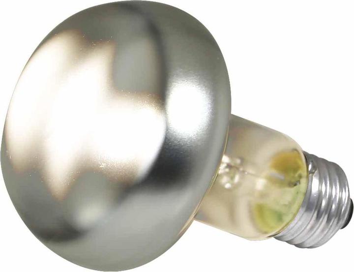 Produktbild Zoo Med Repti Basking Spot Wärmelampe 100W