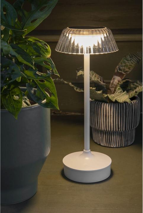 Actual product image STT Solar Mini Lamp