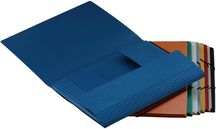 Produktbild Erola Pendenzenmappe A4 sortiert 3 Klappen (A4, 1x)