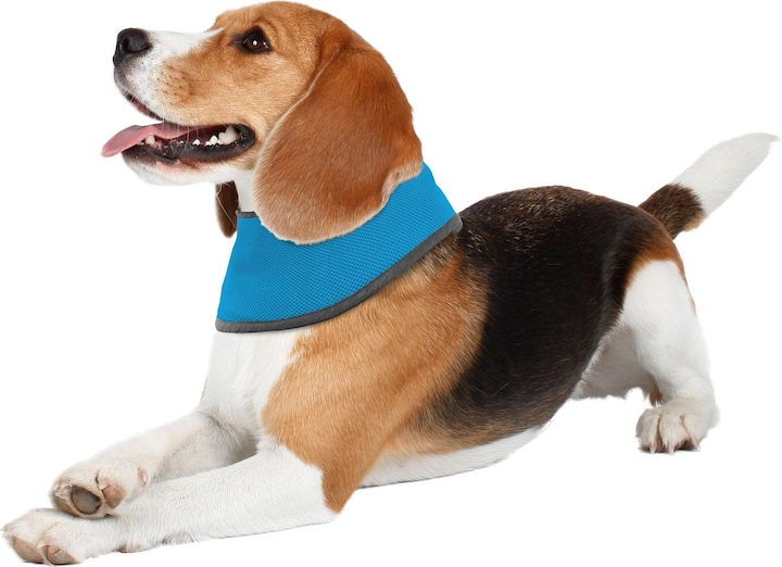 Immagine prodotto Swisspet Sciarpa di raffreddamento (S, Bandana per cani)