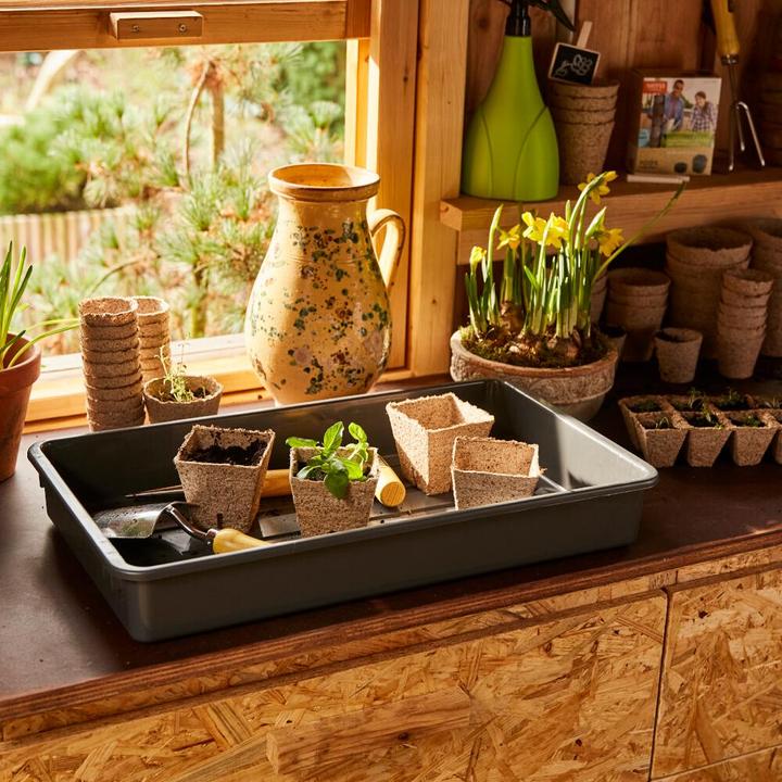 Productafbeelding Siena Garden Biologische zaadpotjes