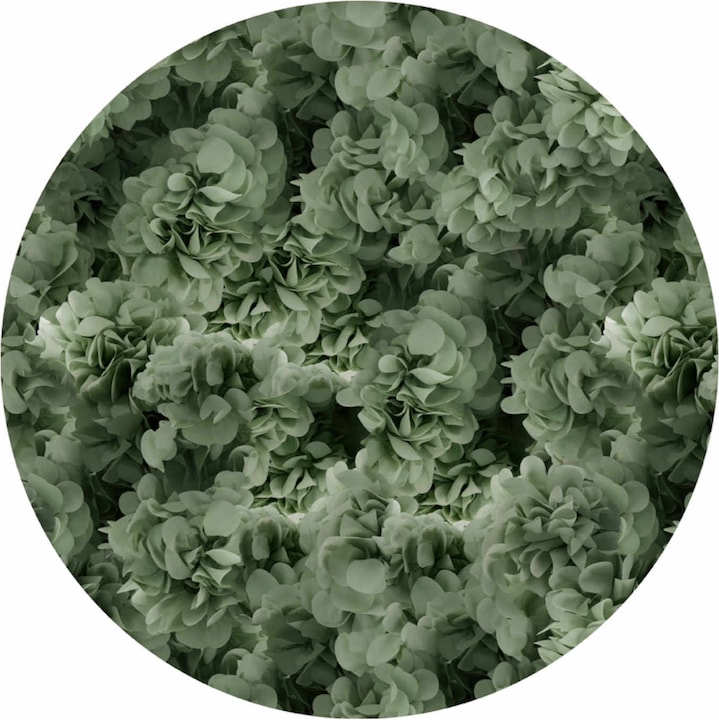Actual product image Moooi Hortensia carpet (250 cm)