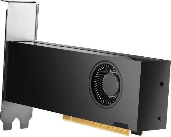 HP NVIDIA RTX PRO 2000 Blackwell da 16 GB (B5CH7AA) (16 GB)