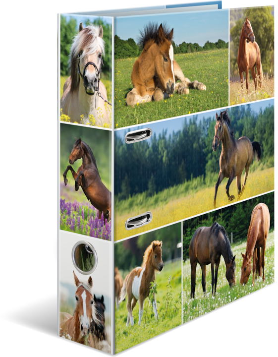 Actual product image Herma A4 folder motif (A4, 70 mm, 1 x)