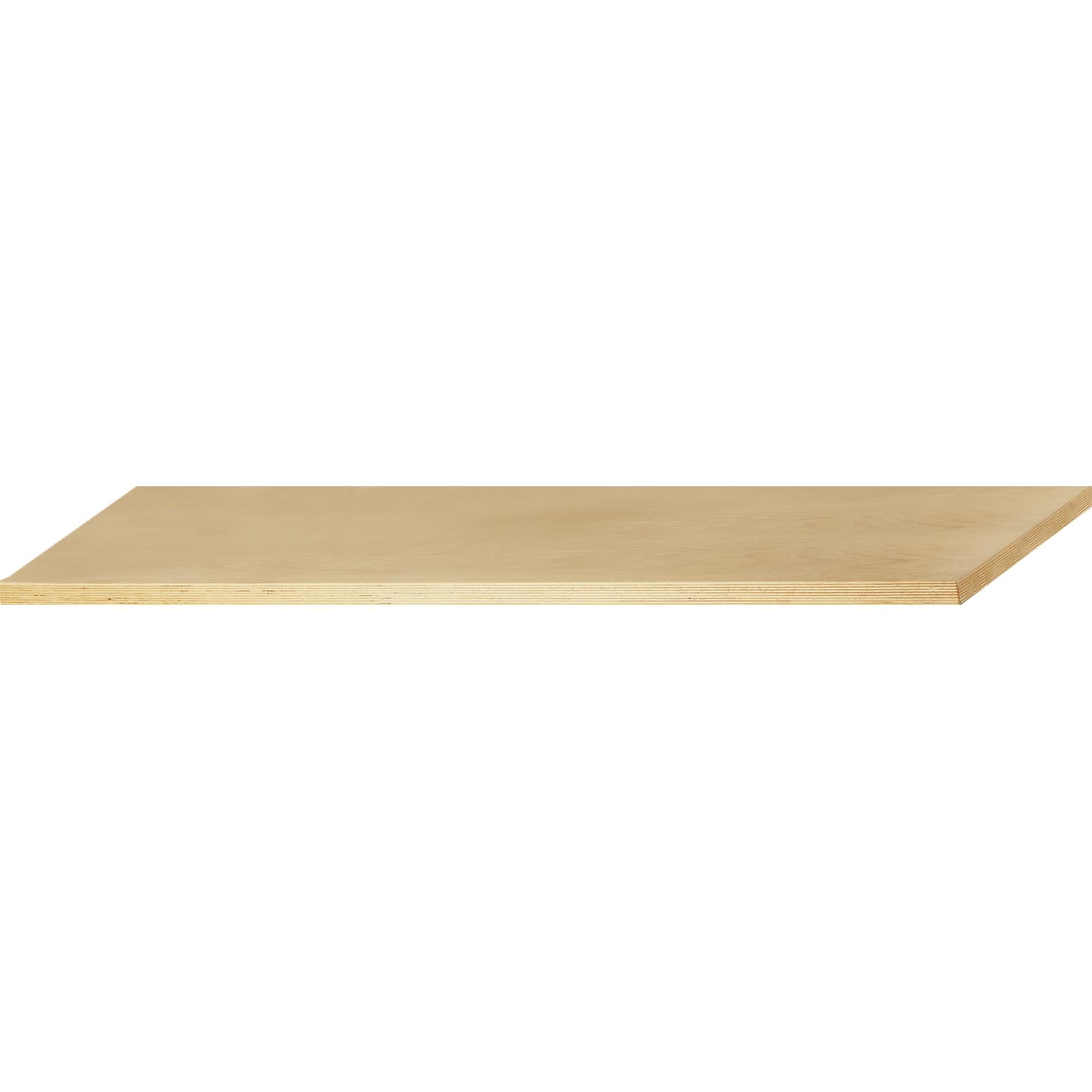 Kraftwerk, Werkbank + Arbeitsbock, Multiplex-Platte (60 cm, 160 cm)