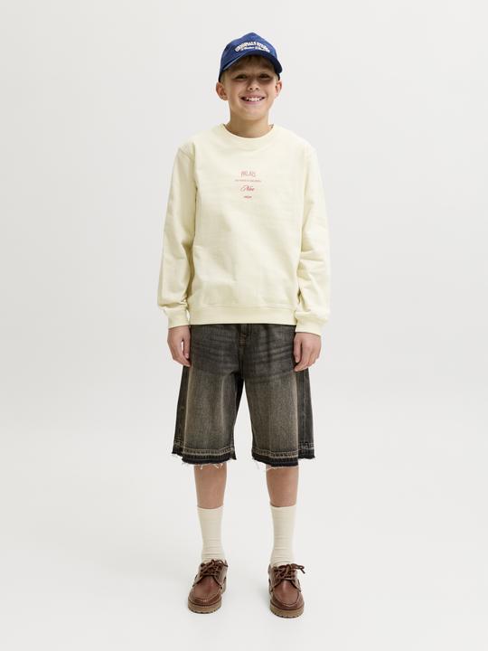 Image du produit Jack & Jones Sweatshirt Junior Sweatshirt (176)