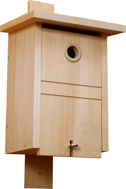 Actual product image Bewo Master Tennis Box