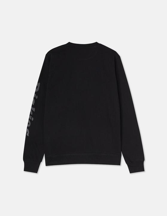 Immagine prodotto Dickies Felpa grafica Okemo Nero XXL (XXL)