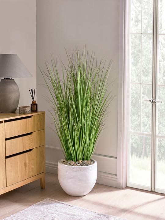 Image du produit Beliani Grass (120 cm)