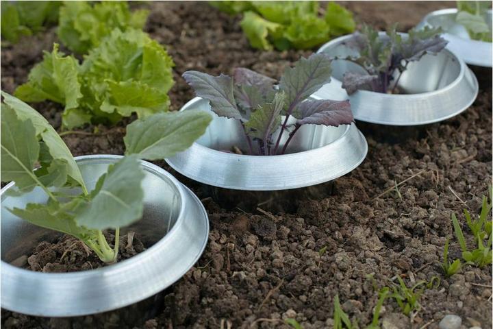 Actual product image Andermatt Biogarten SnailStop