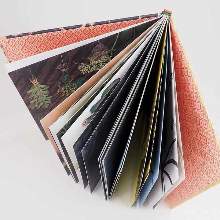 Produktbild Wird denn hier keiner wütend? (Deutsch, Marc Boutavant, Toon Tellegen, 2021)