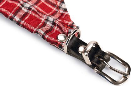 Image du produit Karlie Rondo du col avec foulard (S, Chien, Promenade)
