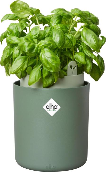 Produktbild Elho Bouncy Basil (17 x 21 cm)