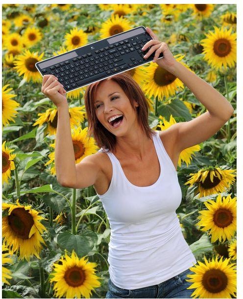 Actual product image Logitech K750 (CH, Wireless)