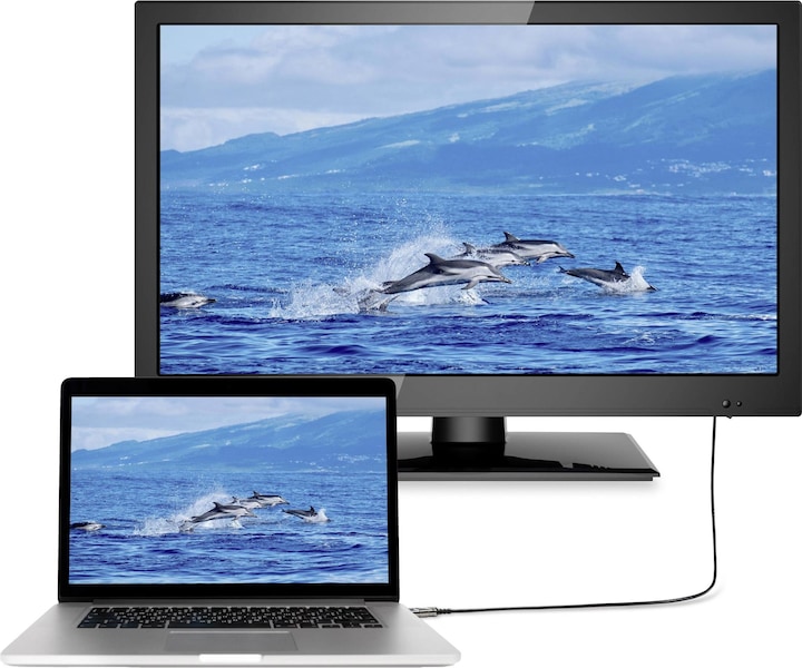 Productafbeelding SpeaKa Professional HDMI - HDMI (10 m, HDMI)