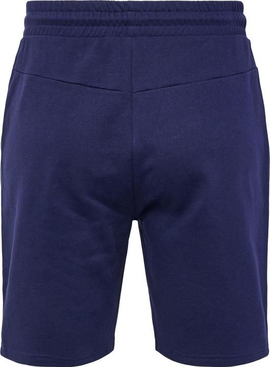 Actual product image hummel Hmlicons Regular Shorts (XXL)