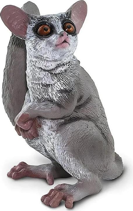 Image du produit Safari Galago