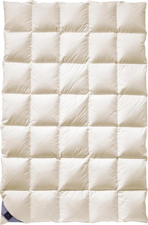 Billerbeck 100 BELVEDERE® (155 x 220 cm, Down)