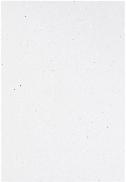 Image du produit Artoz Green Line Pkg 5 cartes A4 bouleau (A4, 216 g/m²)