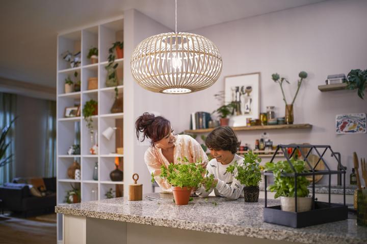Image du produit Philips LED Classic (E27, 7.30 W, 1535 lm, 1 x, A)