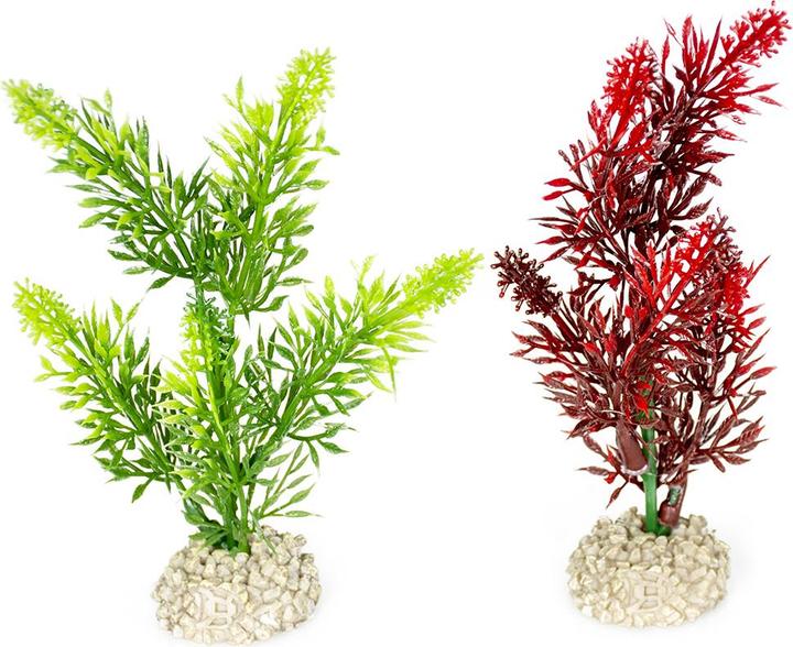Image du produit EBI Aqua Della Plante Elodea Densa Set M (Plantes)