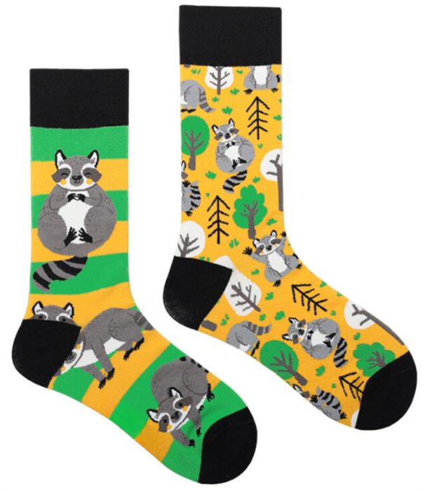 Waschbär