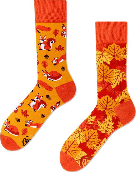 Actual product image Many Mornings The Squirrels (Single pack, 35 - 38)