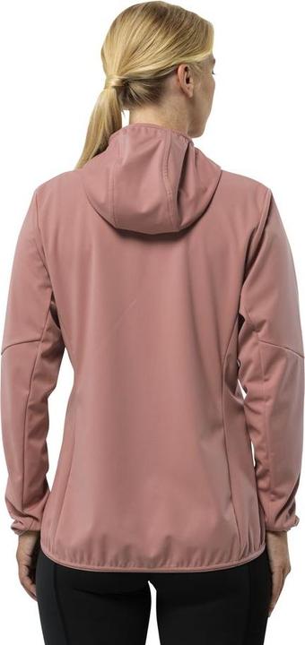 Produktbild Jack Wolfskin Feldberg Hoody W (S)
